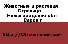  Животные и растения - Страница 3 . Нижегородская обл.,Саров г.